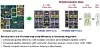 ibm-hot-chips-power9-execution-slice