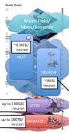 There are already many simulation tools that address different scales or components of the brain. NEST for point neurons, NEURON for structured neurons and ion channels, and at the molecular level, GROMACS. But as one might imagine, the memory alone needed to describe a neuron is vastly different. The goal is to run simulations with as much data as possible at the cellular level (for most approaches) but of course, this leads to scalability issues of the computational variety. Weak scaling for problems like this are going to hit a limit.