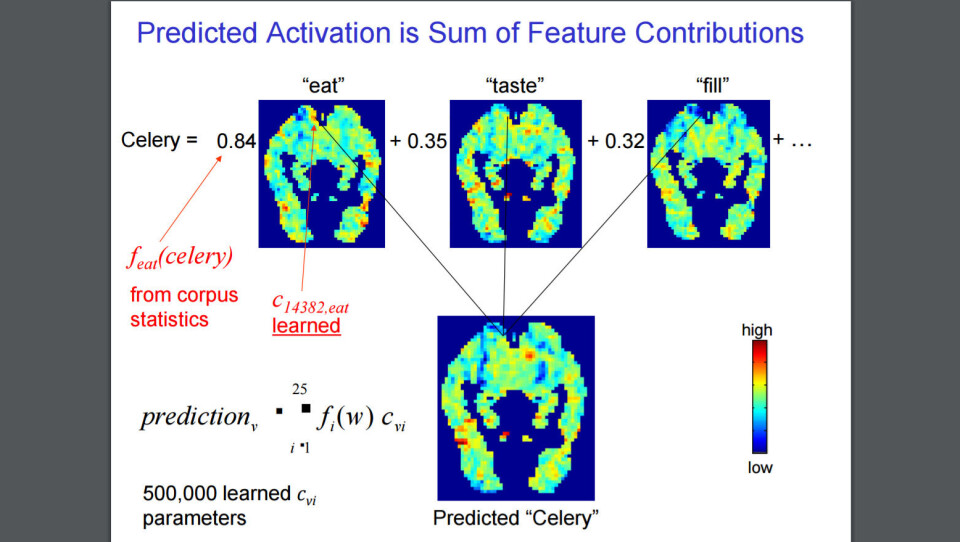 Predictive Computer Language Machine Learning and the Language of the Brain