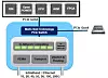 mellanox-quantum-multihost