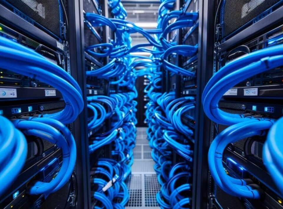 Close-up of blue network cables connected to switches in a server data center aisle