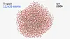 Cleveland Clinic Simulates Large Proteins With Quantum-Centric ...